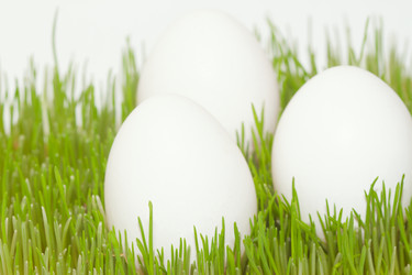 Similar image 7515956