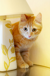 Similar image 7515971