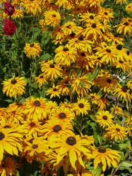 Similar image 7516003