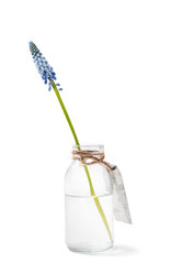 Similar image 7516026