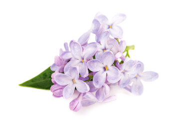 Similar image 7516030