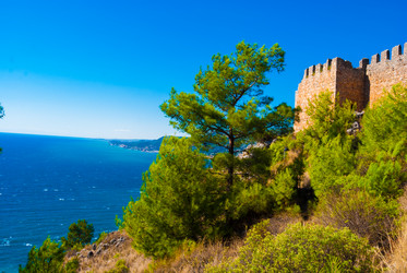 Similar image 7516117