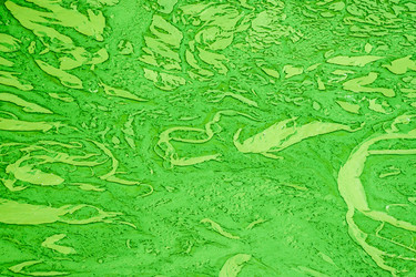 Similar image 7516204