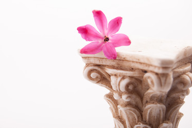 Similar image 7516205