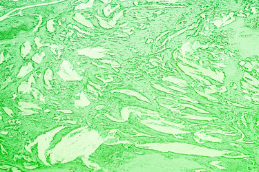 Similar image 7516213