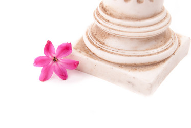 Similar image 7516233