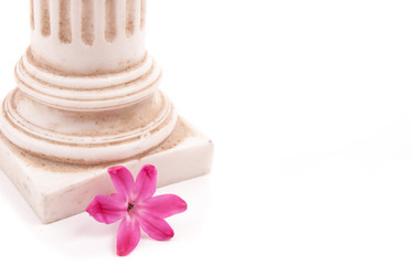 Similar image 7516235