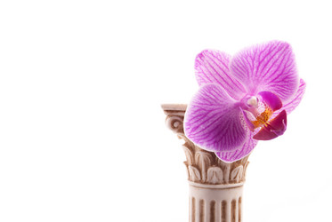 Similar image 7516236