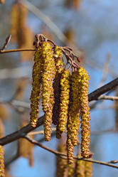 Similar image 7516253