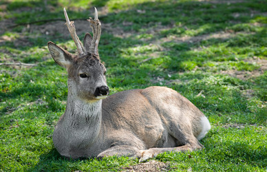 Similar image 7516257