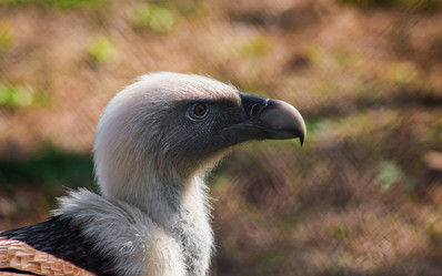 Similar image 7516279