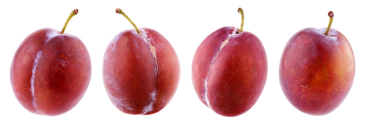 Similar image 7516291