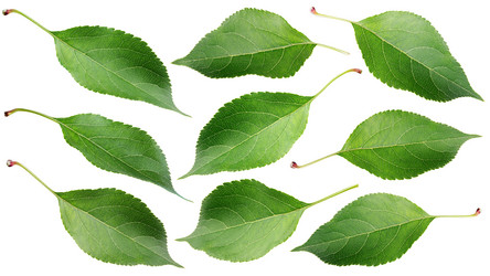 Similar image 7516308