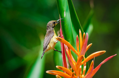 Similar image 7516318