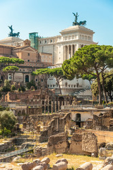 Similar image 7516322