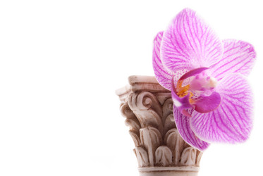 Similar image 7516370