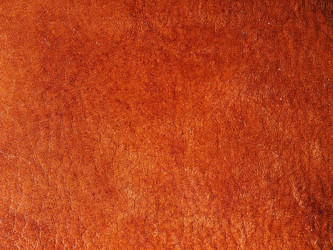 Similar image 7516426