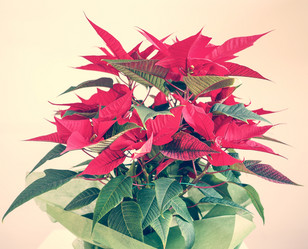 Similar image 7516449