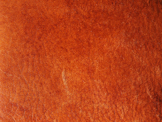 Similar image 7516474