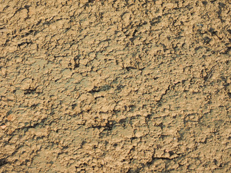 Similar image 7516553