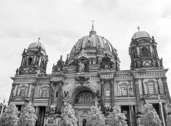 Similar image 7516843