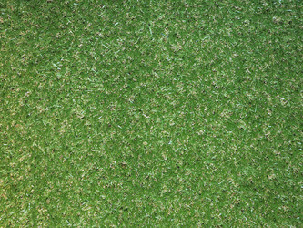 Similar image 7516876