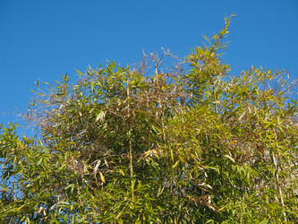 Similar image 7516898