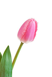 Similar image 7517518