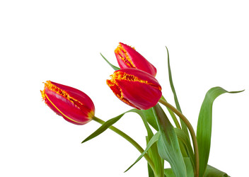 Similar image 7517545