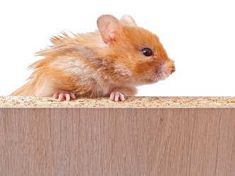 Similar image 7517579