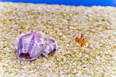 Similar image 7539714