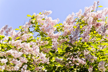 Similar image 7539715