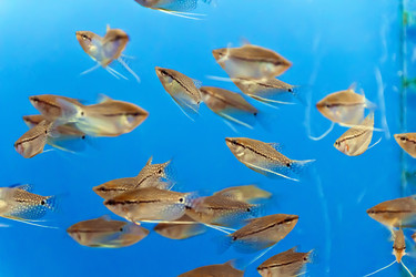 Similar image 7539721