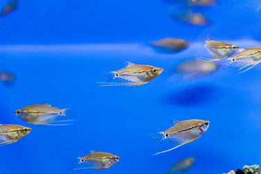 Similar image 7539723