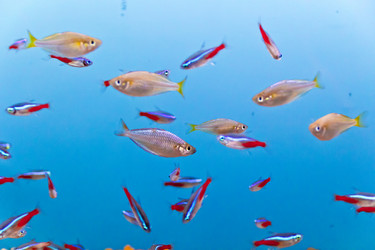 Similar image 7539724