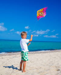 Similar image 7540141