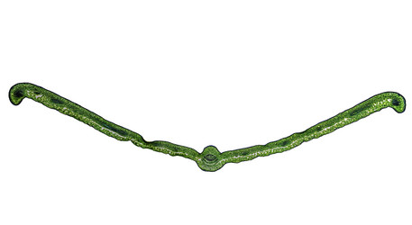 Similar image 7540235