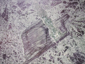 Similar image 7540240