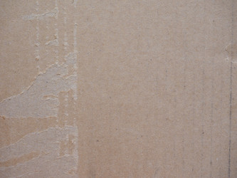 Similar image 7540254