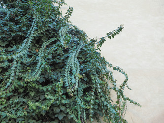 Similar image 7540299