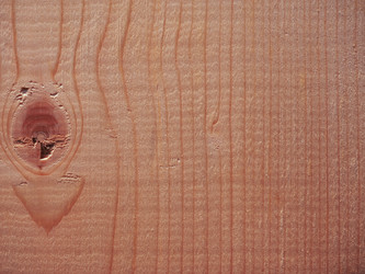 Similar image 7540372