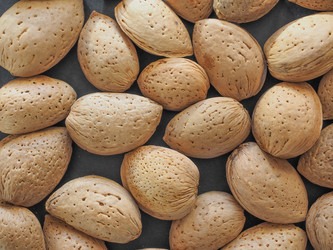 Similar image 7540418