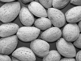 Similar image 7540461