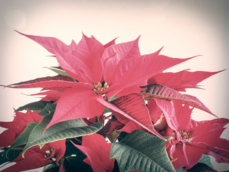 Similar image 7540469