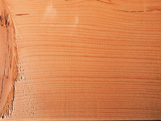 Similar image 7540524