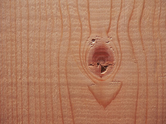 Similar image 7540558