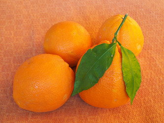 Similar image 7540623