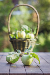 Similar image 7540718