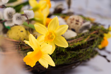 Similar image 7540723