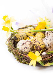 Similar image 7540728